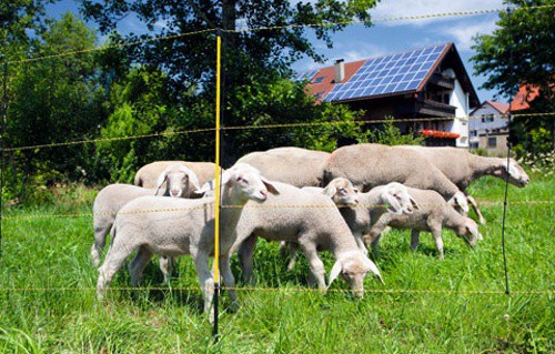 Síť pro ovce a elektrické ohradníky EasyNet, v.105cm, jednoduchá špička