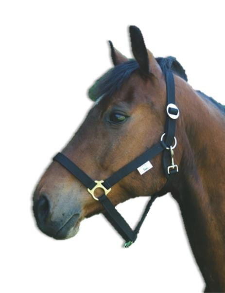 Ohlávka pro koně nylonová CLASSIC, černá