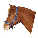 Ohlávka pro koně nylon, MUSTANG, podložená dvakrát stavitelná modrá