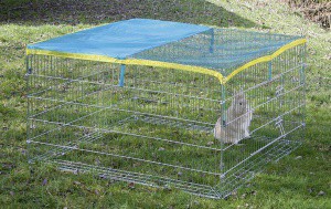 Výběh pro králíky, morčata a jiné hlodavce 115 x 115 x 65cm, ochranná síťka