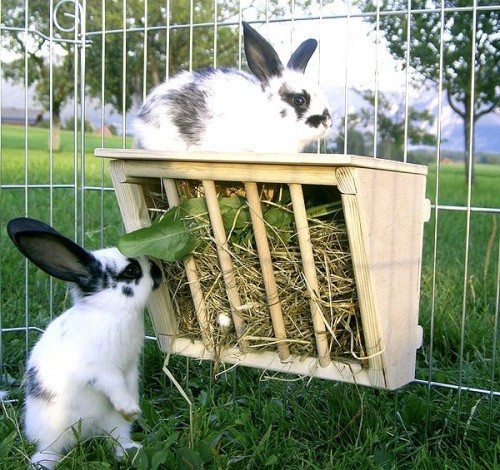 Jesle na seno pro králíky dřevěné, 25 x 17 x 20cm