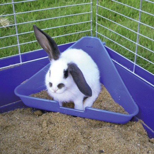 Toaleta pro králíky, rohová