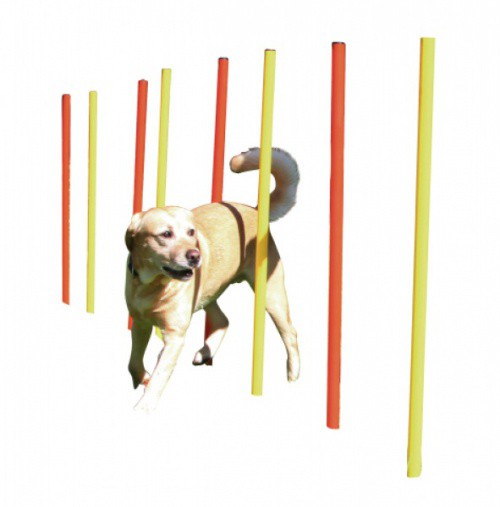 Agility překážka pro psy SLALOM 12 tyčí s úložnou taškou