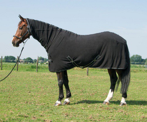 Odpocovací deka pro koně DELUXE, fleece, s krkem, černá