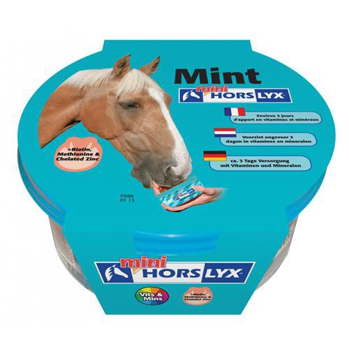 Liz pro koně, HORSLYX, 650 g, mint