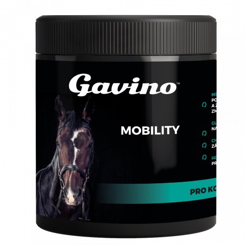 Gavino Mobility 700g