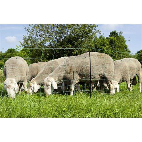 Síť pro elektrické ohradníky na ovce OVINET v. 108 cm, d. 50 m, dvojitá špička, zelená